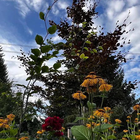 # 97 - Am Sachsenring Appartement Oberlungwitz