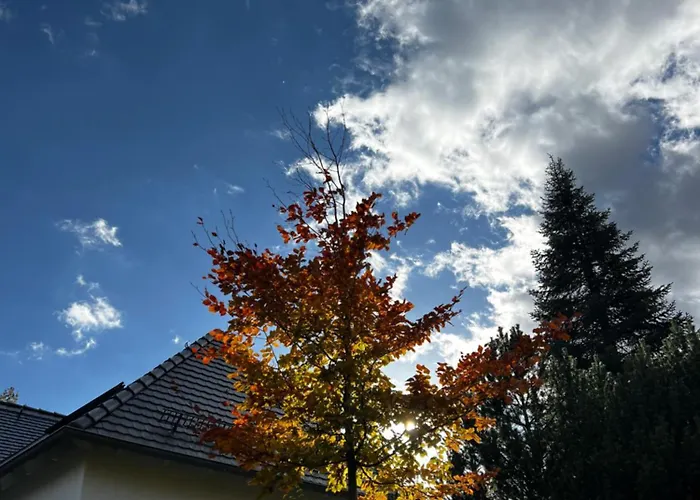 # 97 - Am Sachsenring