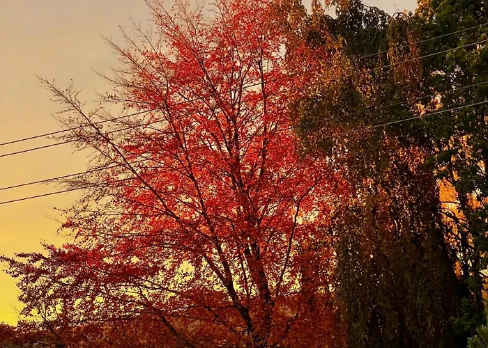 # 97 - Am Sachsenring Апартаменты Оберлунгвиц