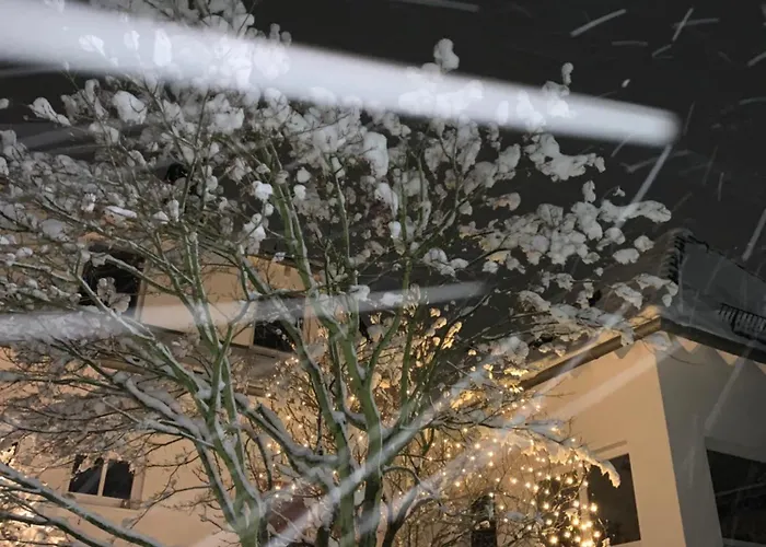 # 97 - Am Sachsenring *